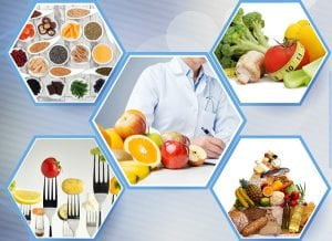 tong quan ve he nang luong va dinh duong 1654 Quà tết 2024