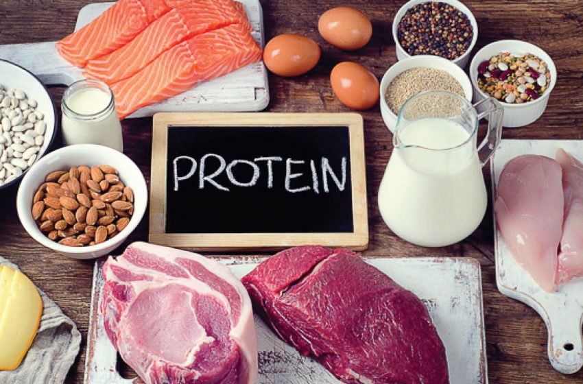 protein3 850x560 1 Quà tết 2024